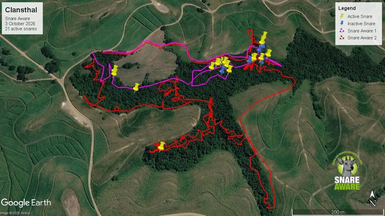 Satellite map of Clansthal sweep with GPS walking tracks and 21 active snare pins marked