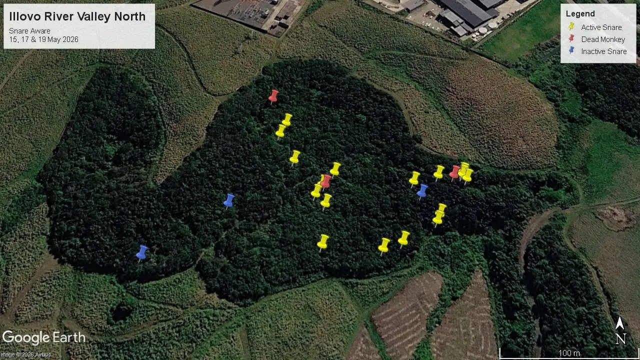 Satellite map of Illovo River Valley forest pocket with snare pins marked